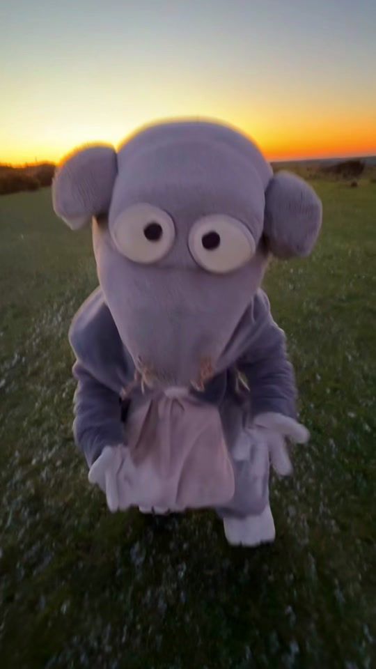 TikTok video thumbnail by bigbackedrats