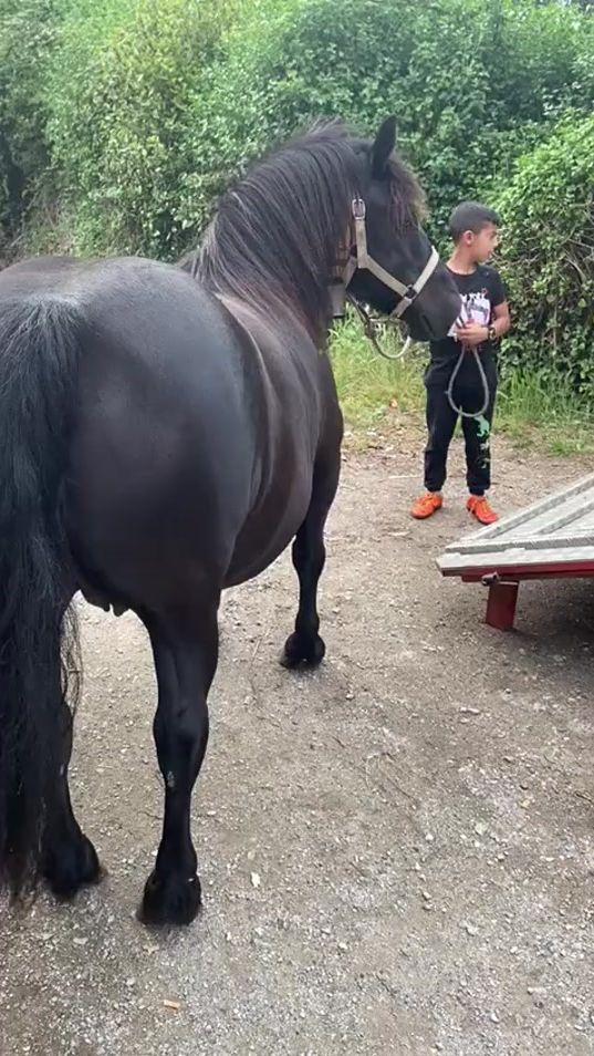 TikTok video thumbnail by dianajimenez8412