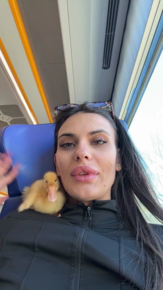 TikTok video thumbnail by lentinirosy_99