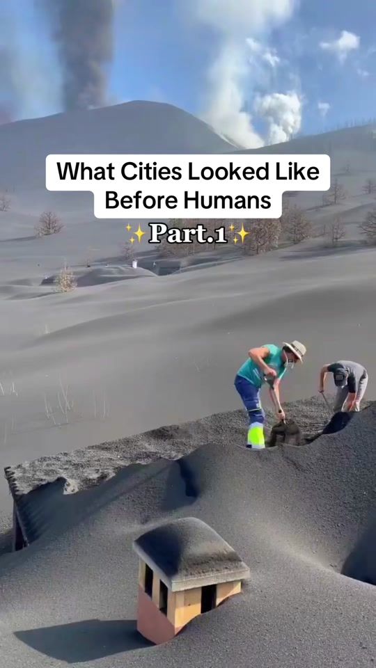 TikTok video thumbnail by this.our.planet