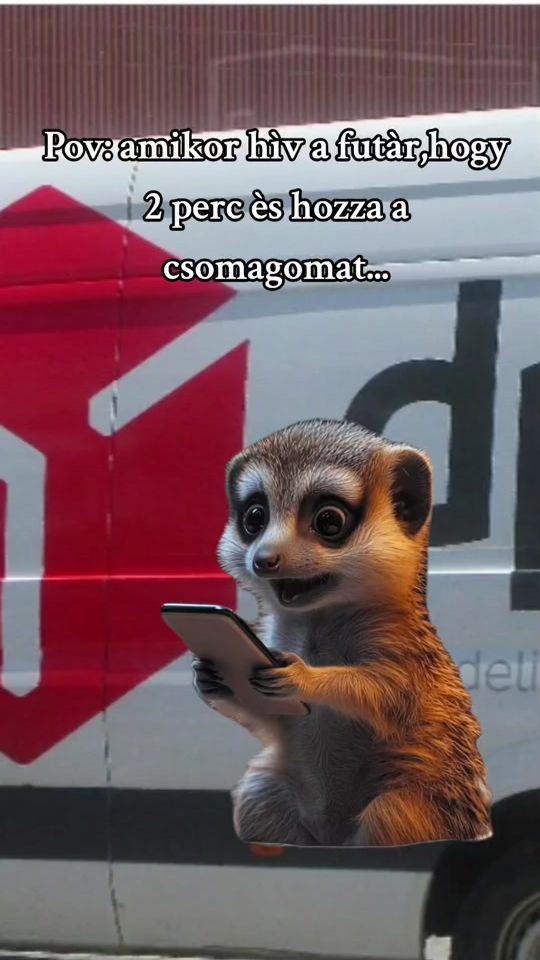 TikTok video thumbnail by andiikocsis