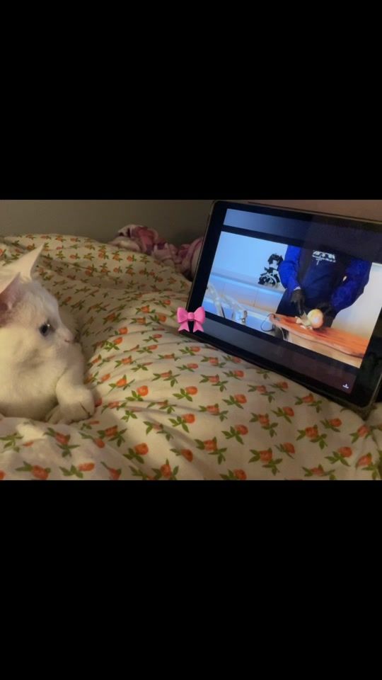 TikTok video thumbnail by malicemxzer