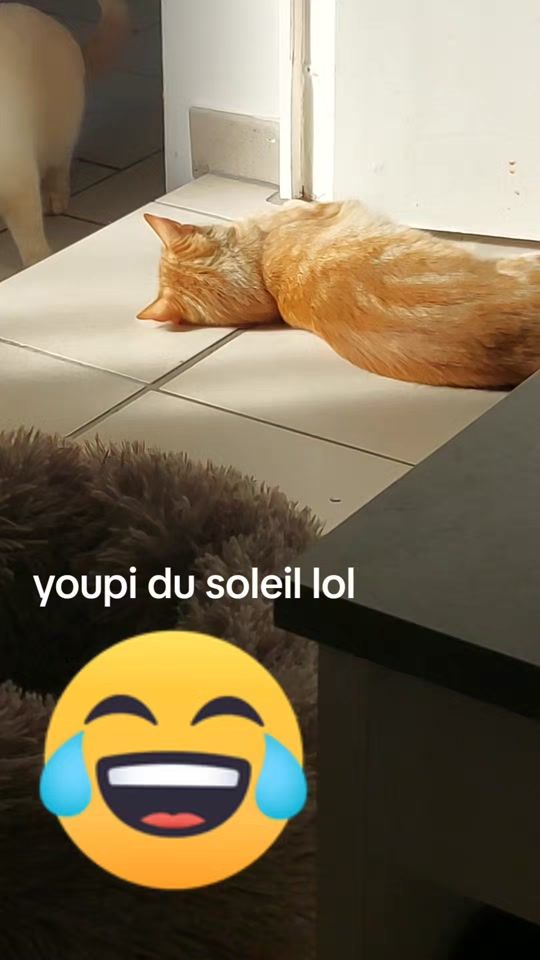 TikTok video thumbnail by elisabethbabethlo