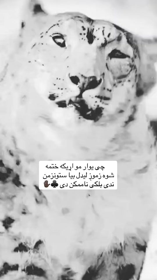 TikTok video thumbnail by a__l__i430