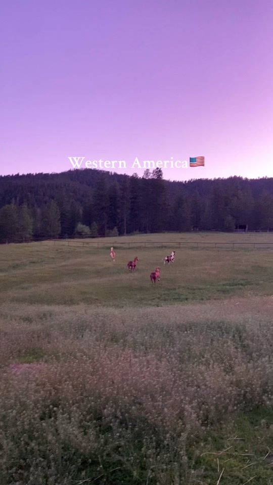 TikTok video thumbnail by life.with.thechestnuts