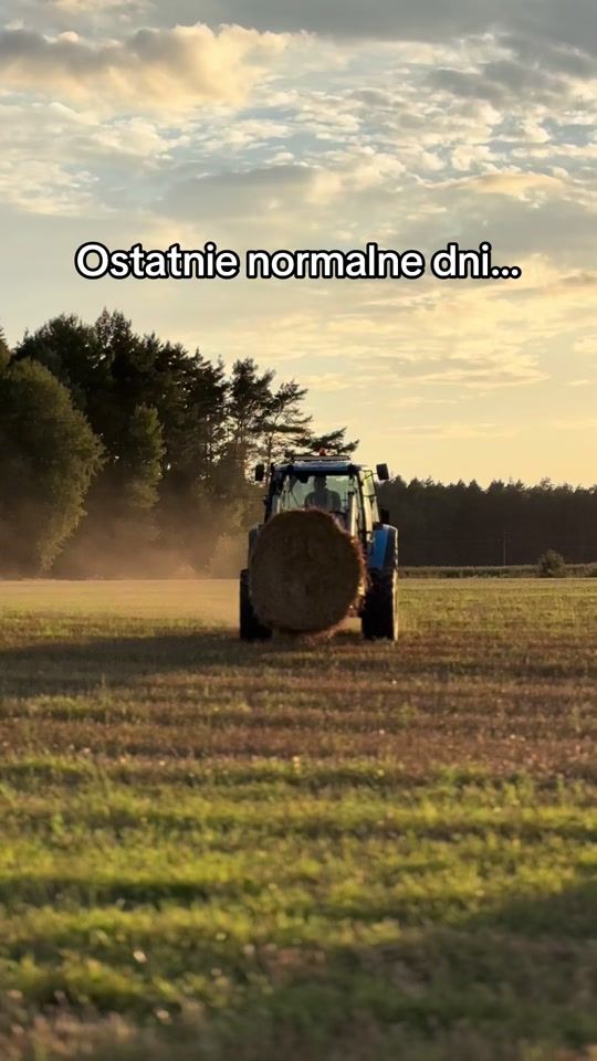 TikTok video thumbnail by agroseba_tv