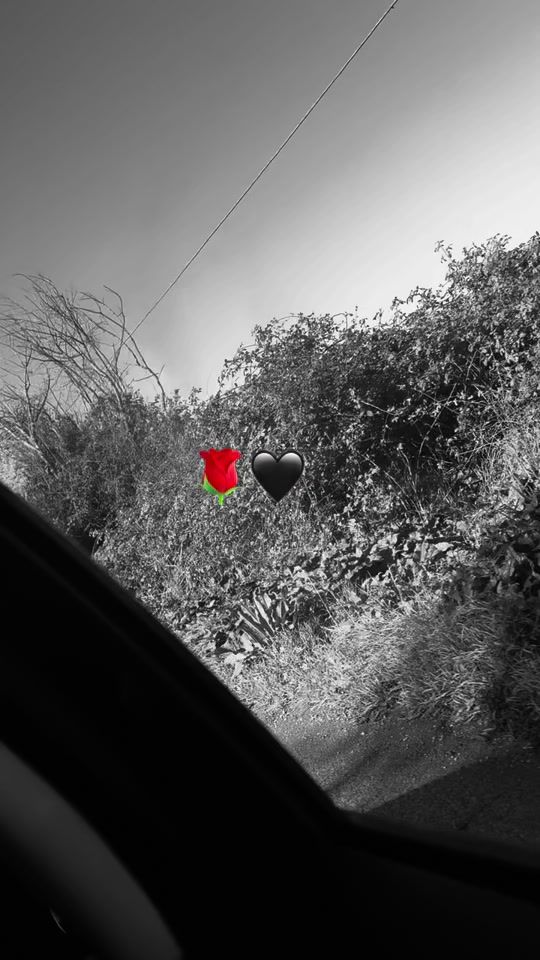 TikTok video thumbnail by ___odijeammor___