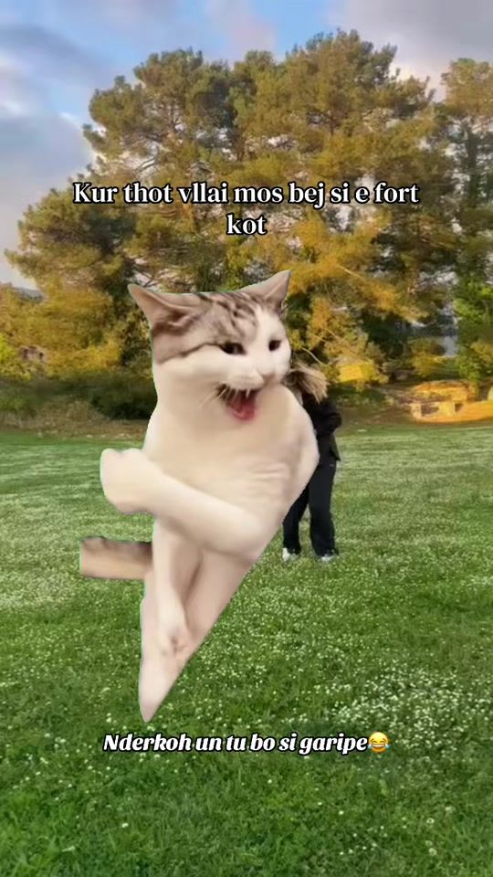 TikTok video thumbnail by jonida_8
