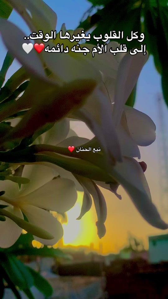 TikTok video thumbnail by mohmmd.ali96