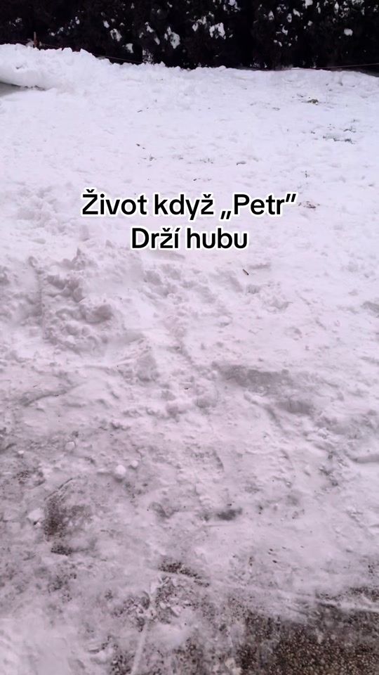 TikTok video thumbnail by alfaaci