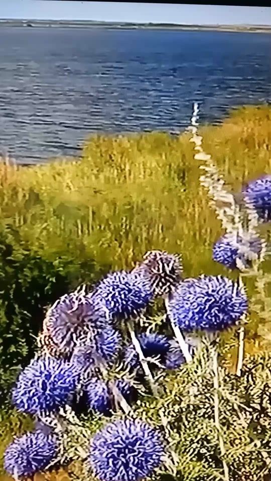 TikTok video thumbnail by sergei89795