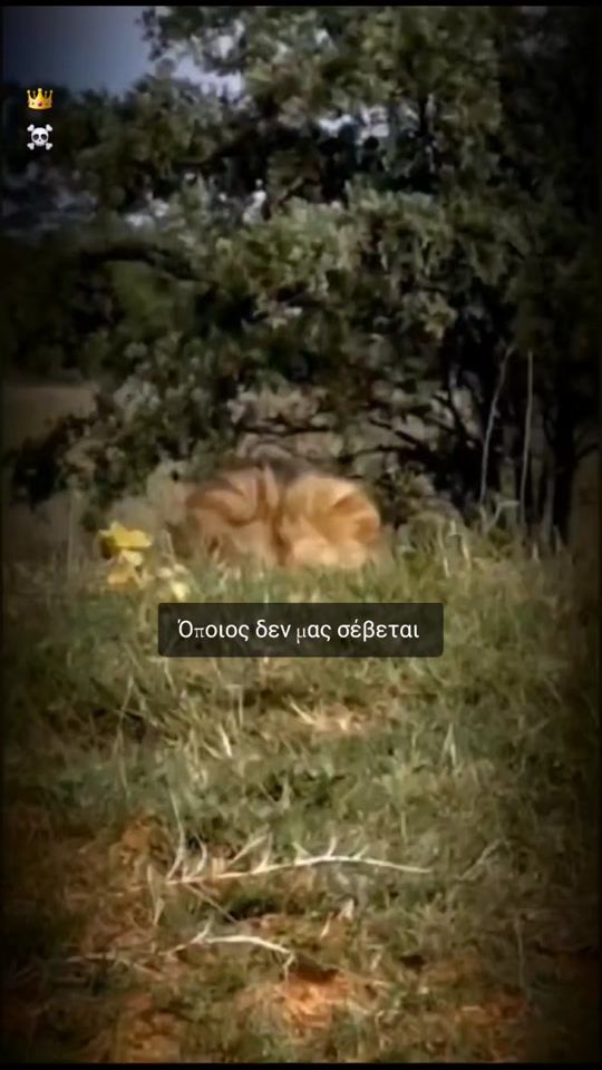 TikTok video thumbnail by _mr.p_1