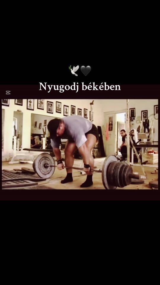 TikTok video thumbnail by zoltan.zoli.zo