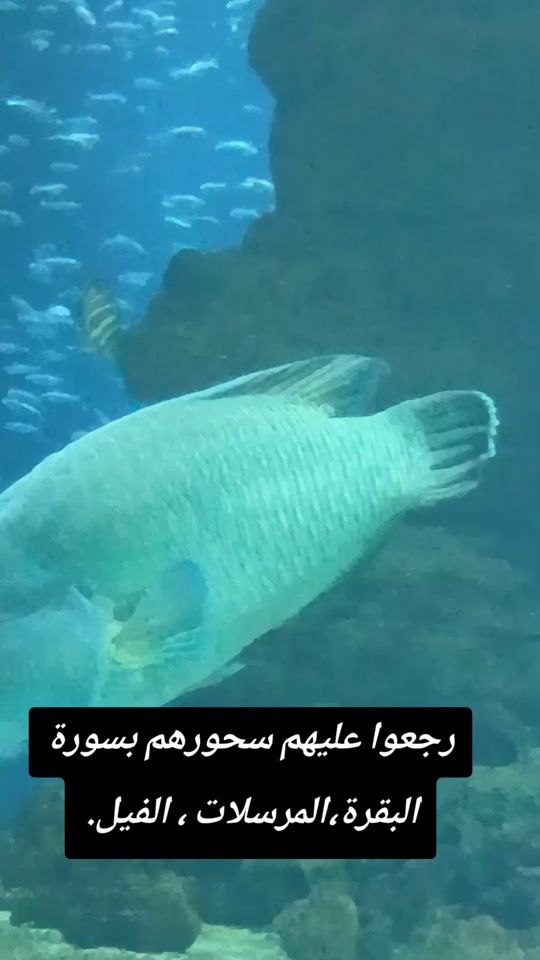 TikTok video thumbnail by benatiadz37