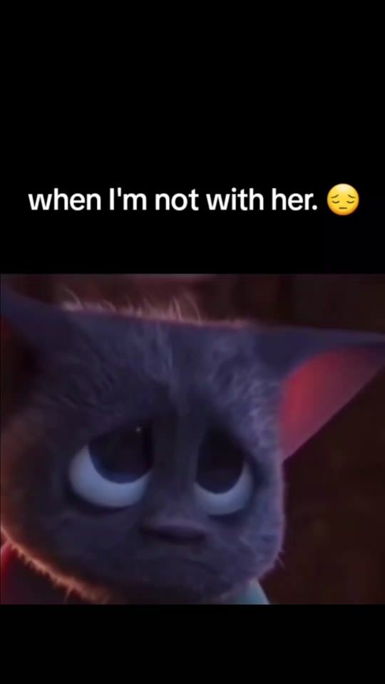 TikTok video thumbnail by ukw00dz