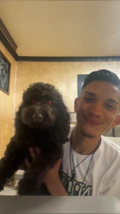 TikTok video thumbnail by branko_st_2008