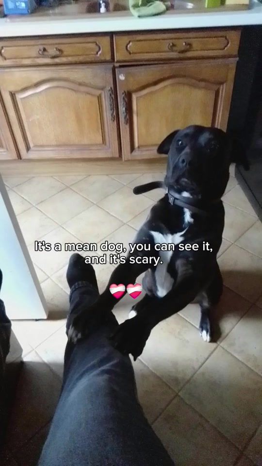 TikTok video thumbnail by s_bourdon