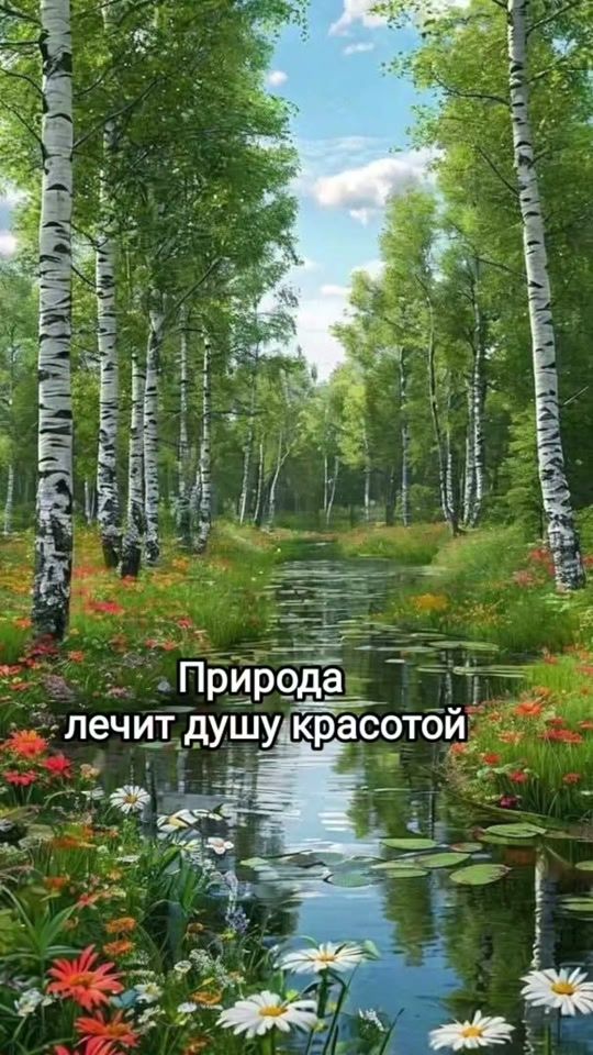 TikTok video thumbnail by user2708666181819