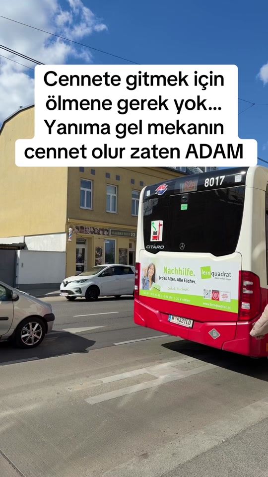 TikTok video thumbnail by __kartanesii___