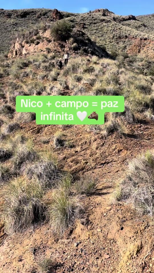 TikTok video thumbnail by jabalinico