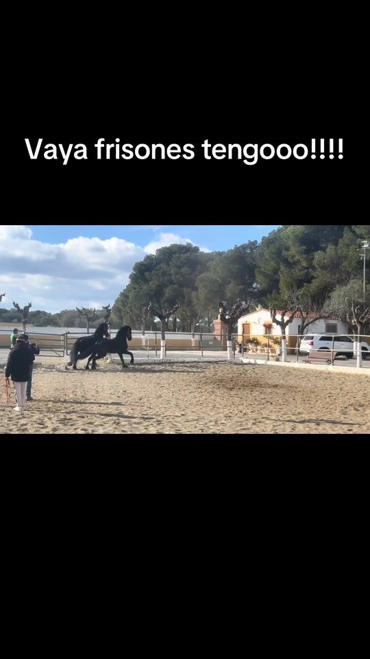 TikTok video thumbnail by bernardo.silva6140