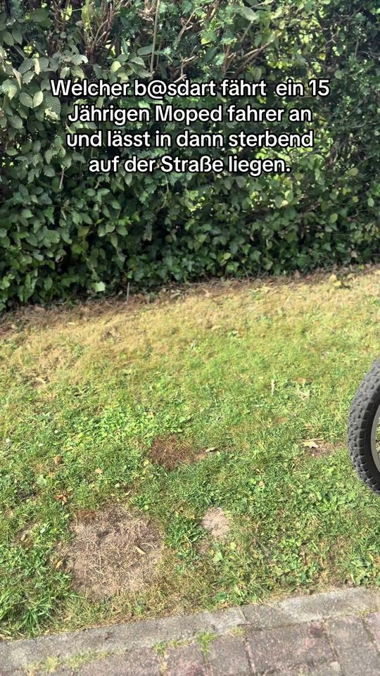 TikTok video thumbnail by marlon_sanke