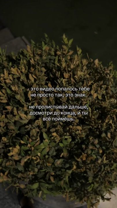 TikTok video thumbnail by avazbekovv07ll