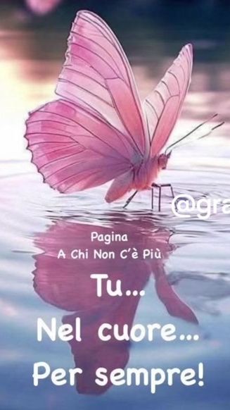 TikTok video thumbnail by inniti2
