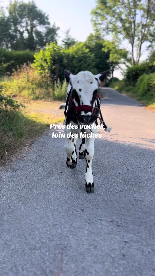 TikTok video thumbnail by louna7303