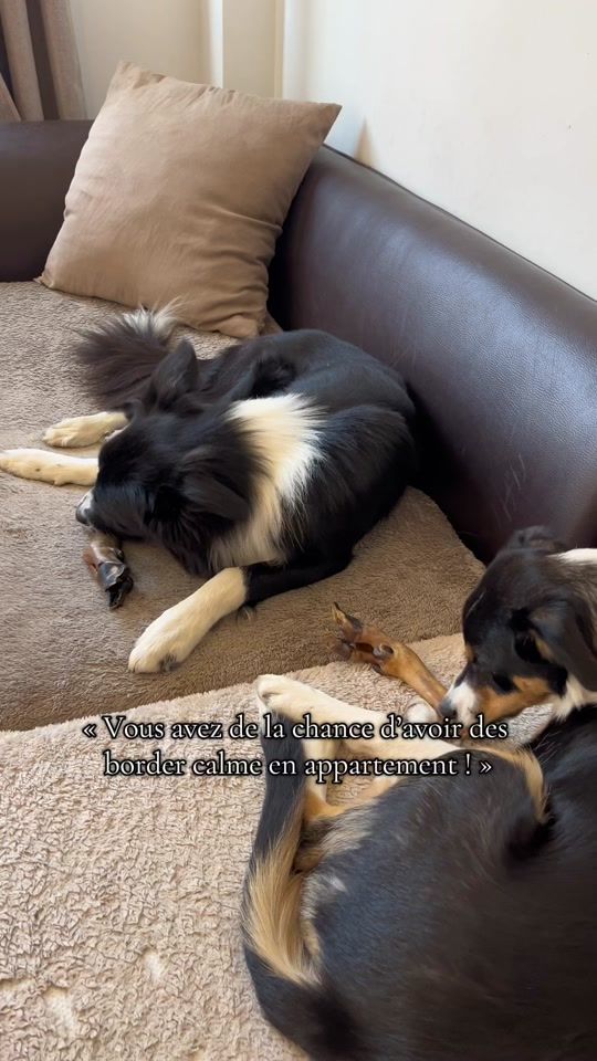 TikTok video thumbnail by chanel.et.bandit