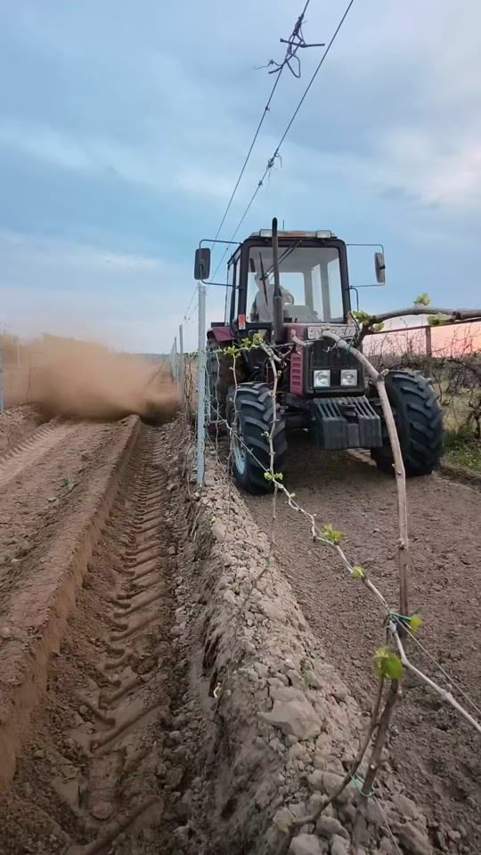 TikTok video thumbnail by polyakbobe