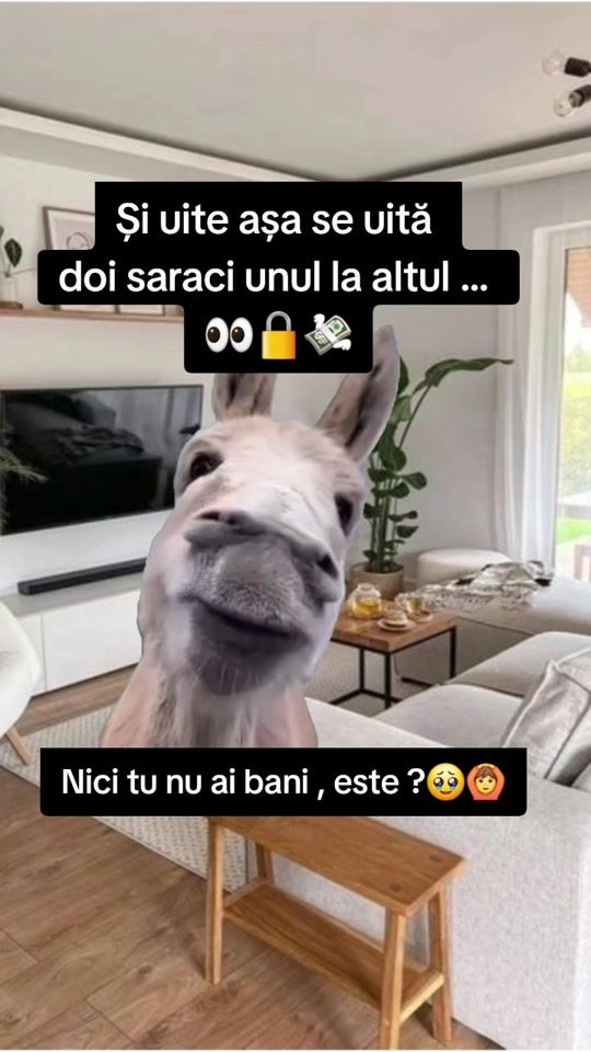 TikTok video thumbnail by el3na_ela26