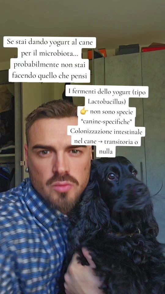 TikTok video thumbnail by dott.malcarne