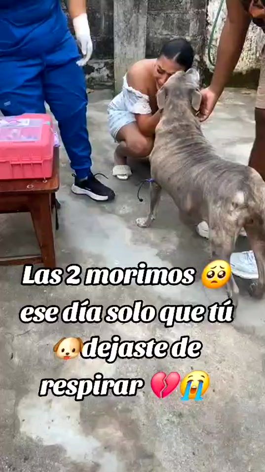 TikTok video thumbnail by dulce_mariaa83