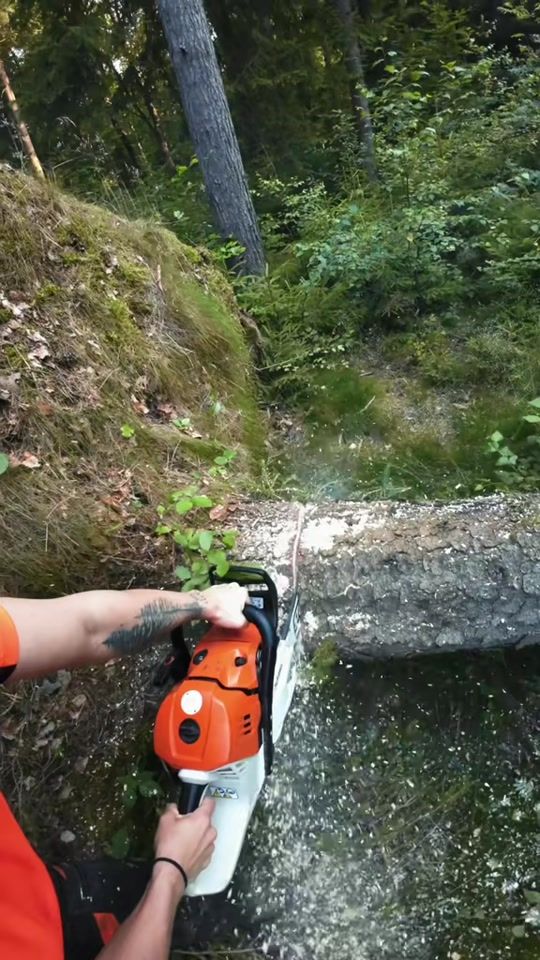 TikTok video thumbnail by lumber_caro