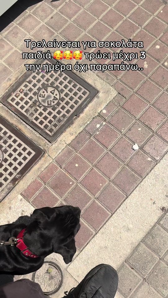 TikTok video thumbnail by faidracane