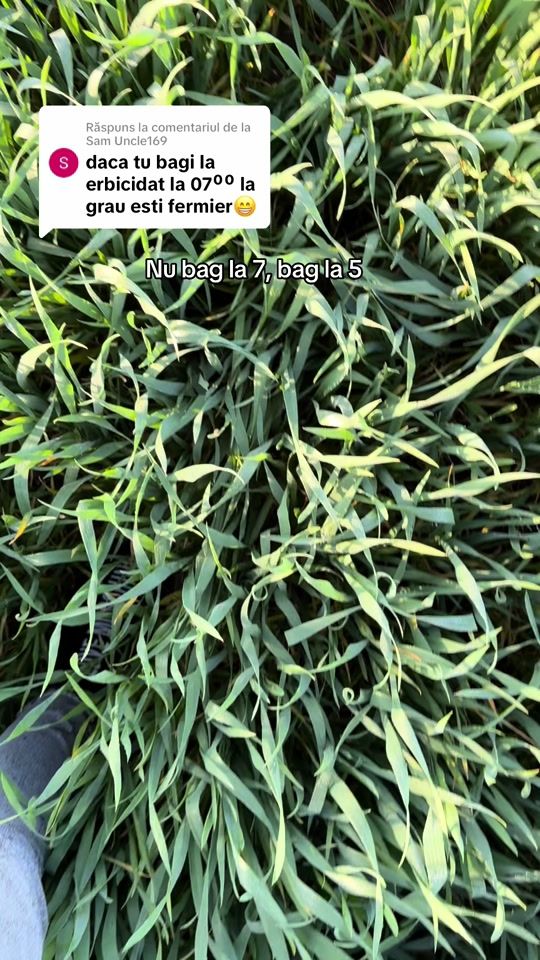 TikTok video thumbnail by agro.ana