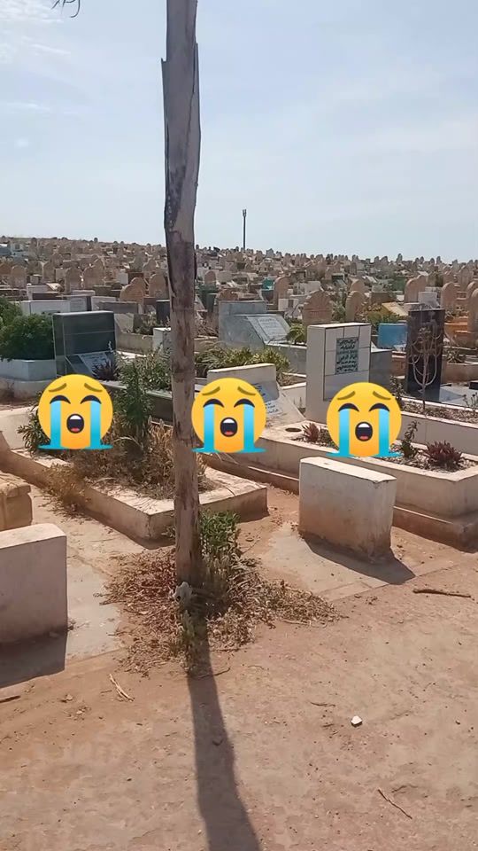 TikTok video thumbnail by ealae.chgar