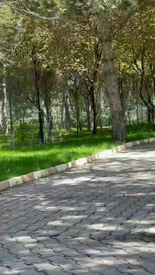 TikTok video thumbnail by nike.niku56
