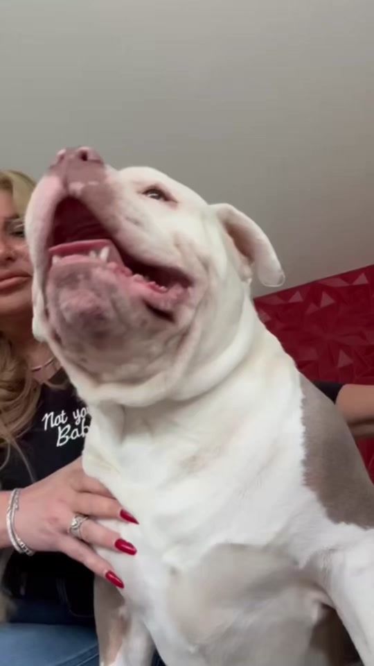 TikTok video thumbnail by miga_michela