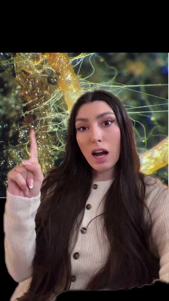 TikTok video thumbnail by berceanubianca