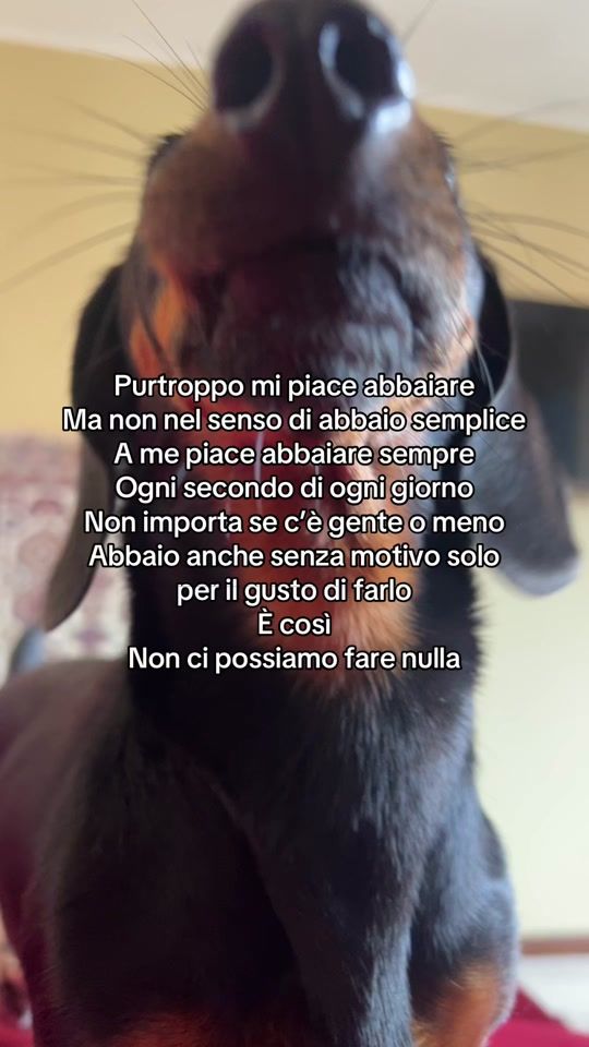 TikTok video thumbnail by vitasausage