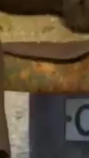 TikTok video thumbnail by stierdome