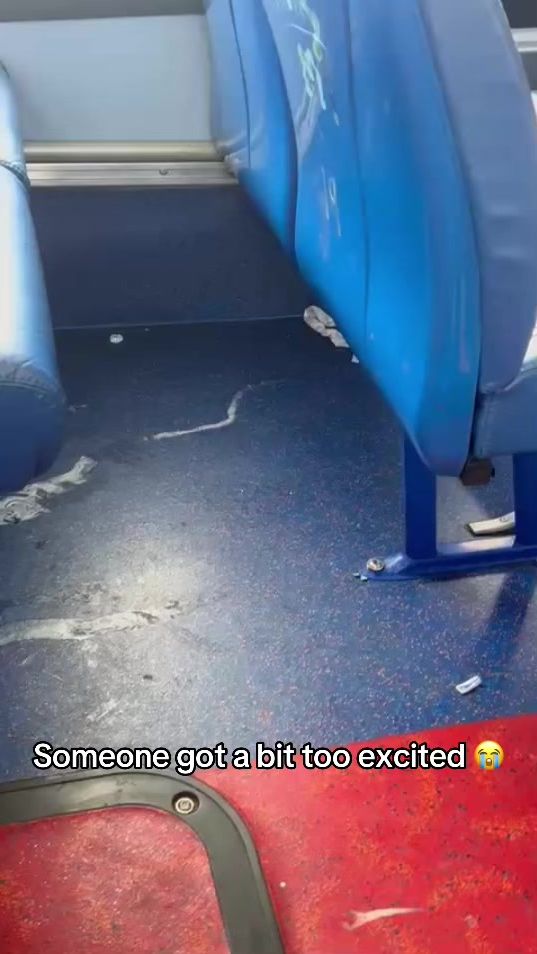 TikTok video thumbnail by dansbus0