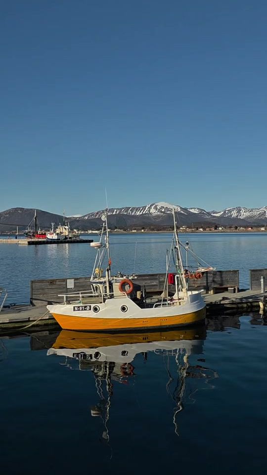 TikTok video thumbnail by sidsel.birkeland