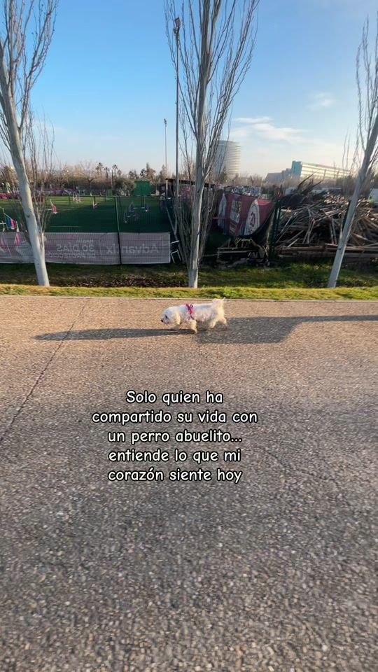 TikTok video thumbnail by peluchonamarley