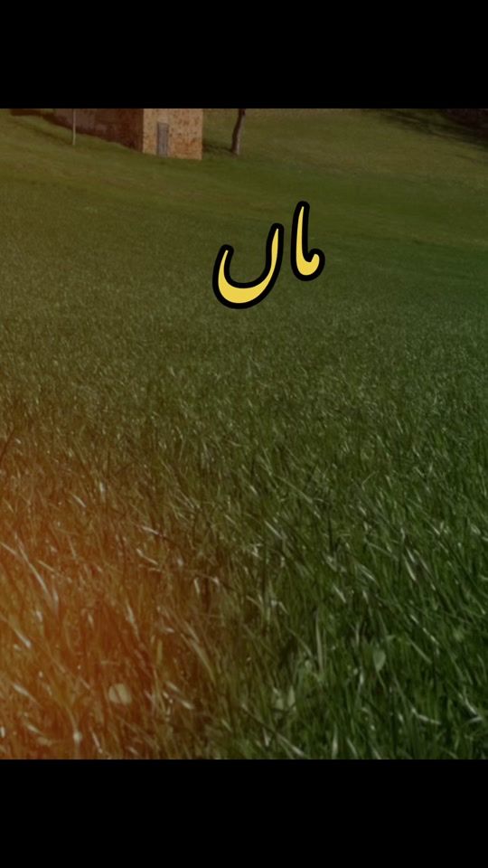 TikTok video thumbnail by jat_3629