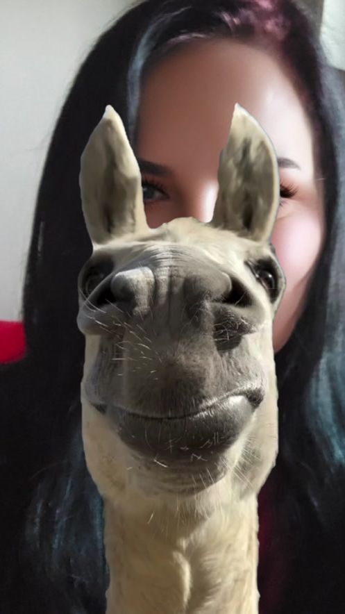 TikTok video thumbnail by tevrea6