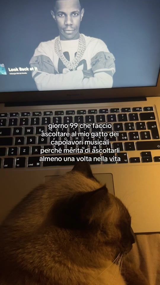 TikTok video thumbnail by meowsical3