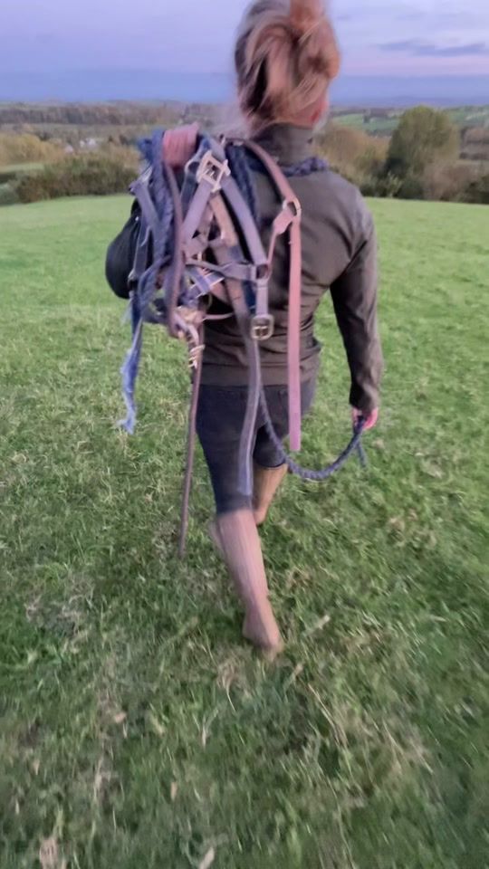 TikTok video thumbnail by harryhunter174